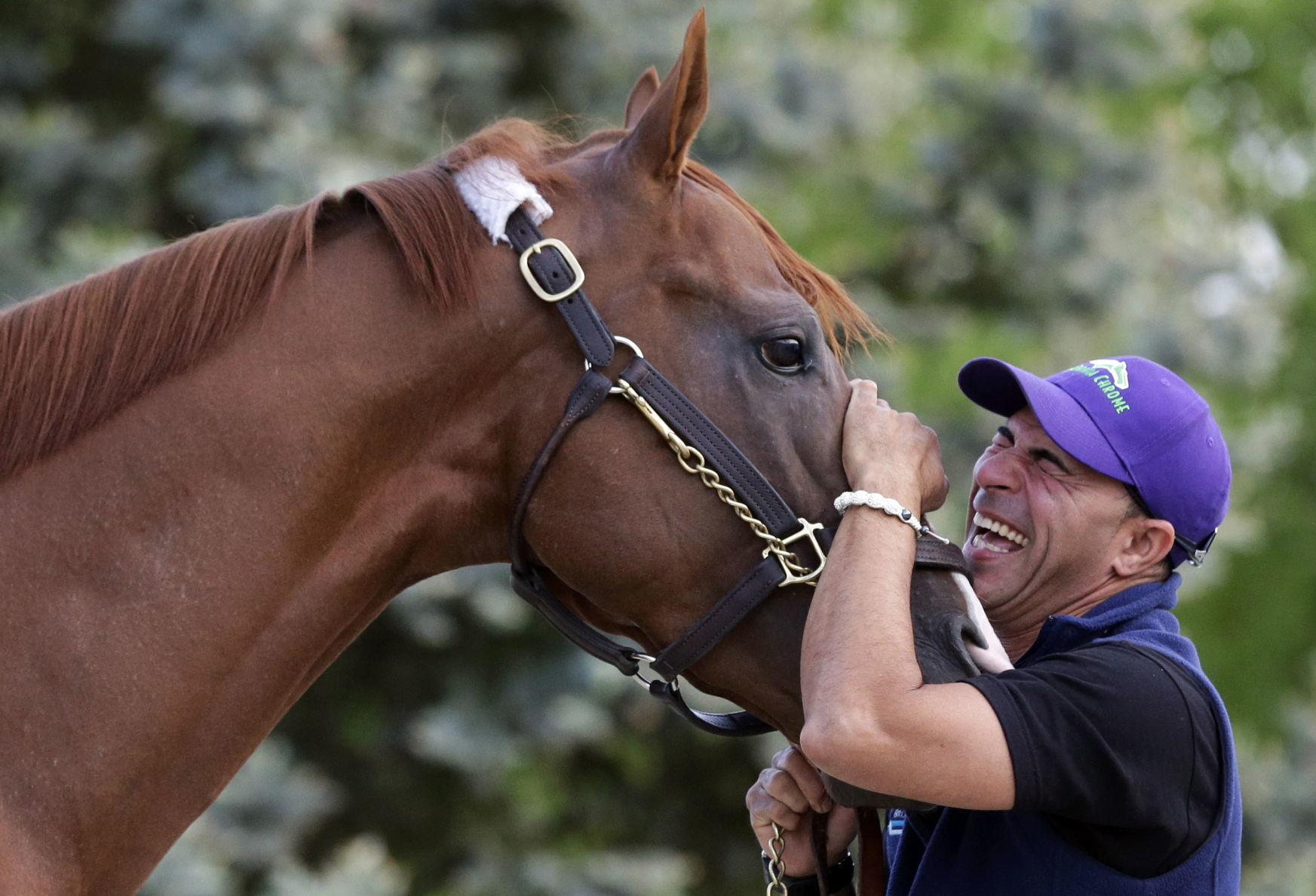 2014: California Chrome wins dramatic Preakness